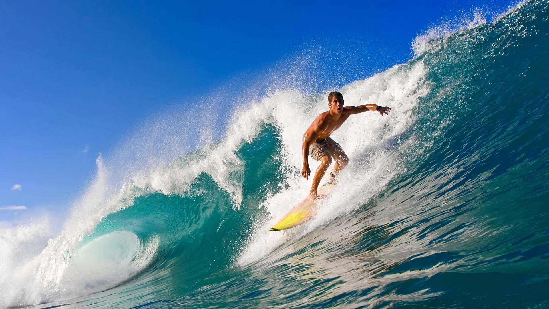 _运动员技能榜：看谁的绝招最牛_，运动员才力